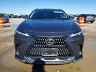 2023 Lexus Nx 250 Premium Gray vin: 2T2GDCAZ5PC005174