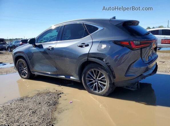 2T2GDCAZ5PC005174 2023 LEXUS NX Gray Trasero izquierdo