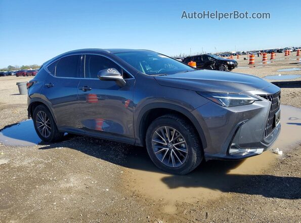 2T2GDCAZ5PC005174 2023 LEXUS NX Gray Delantero derecho
