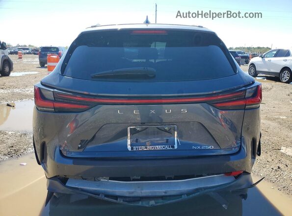 2T2GDCAZ5PC005174 2023 LEXUS NX Gray Vista trasera