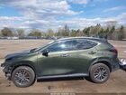 2024 Lexus Nx 250 Premium Green vin: 2T2GDCAZ6RC015070