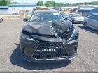 2025 Lexus Nx 250 Premium Black vin: 2T2GDCAZ7SC024222