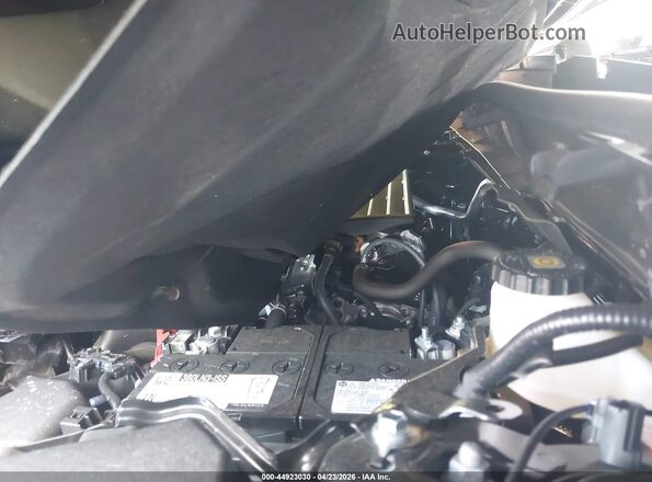 2T2GDCAZ7SC024222 2025 LEXUS NX 250 Black უკანა ხედი