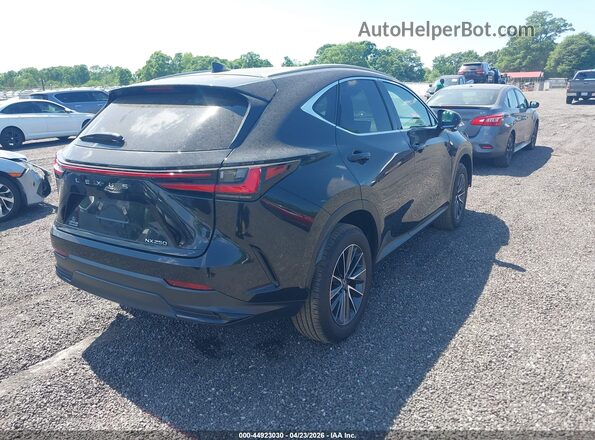 2T2GDCAZ7SC024222 2025 LEXUS NX 250 Black უკანა მარჯვენა