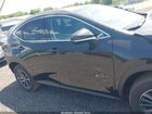 2025 Lexus Nx 250 Premium Black vin: 2T2GDCAZ7SC024222