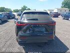 2025 Lexus Nx 250 Premium Black vin: 2T2GDCAZ7SC024222