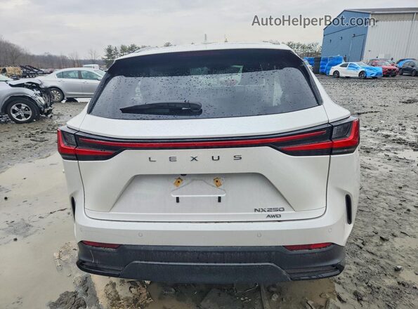 2T2GDCEZ2SC005748 2025 LEXUS NX White Вид ззаду