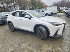 2025 Lexus Nx 250 Premium White vin: 2T2GDCEZ2SC005748