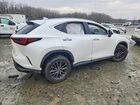 2025 Lexus Nx 250 Premium White vin: 2T2GDCEZ2SC005748