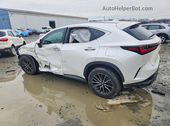 2T2GDCEZ2SC005748 2025 LEXUS NX White Задня ліва чверть