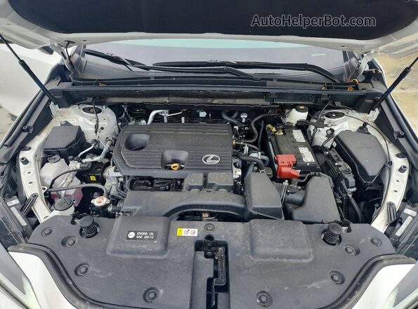 2T2GDCEZ2SC005748 2025 LEXUS NX White Вид підкапотного простору