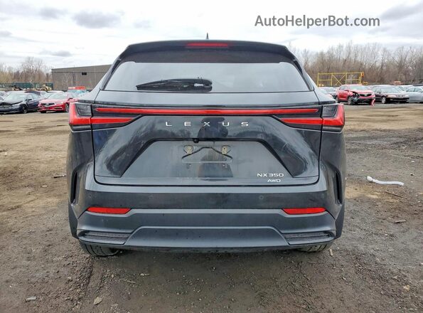 2T2GGCEZ0PC028105 2023 LEXUS NX Черный Вид сзади