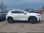 2025 Lexus Nx 350 Premium White vin: 2T2GGCEZ2SC062734 2025 Lexus Nx 350 Premium White vin: 2T2GGCEZ2SC062734