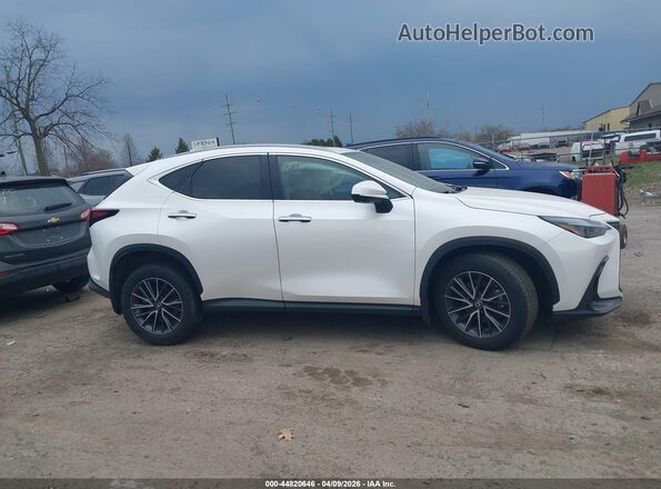 2T2GGCEZ2SC062734 2025 LEXUS NX 350 White Widok wnętrza z tyłu