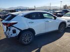 2026 Lexus Nx 350 Premium White vin: 2T2GGCEZ5TC102144