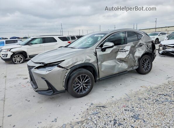 2T2GGCEZ8RC046211 2024 LEXUS NX Gray Vista tres cuartos delantera izquierda