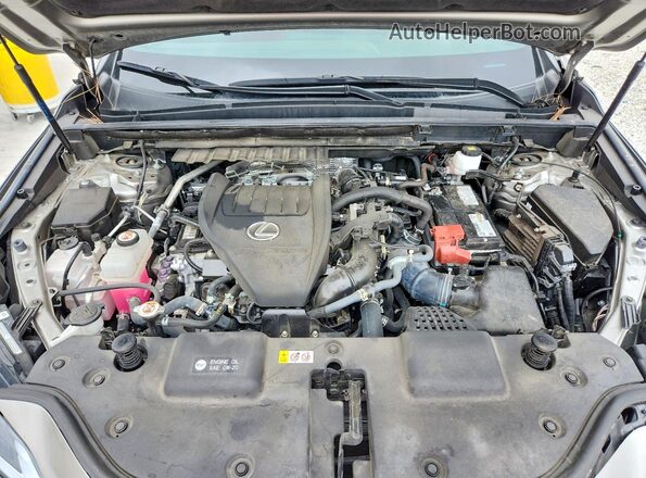 2T2GGCEZ8RC046211 2024 LEXUS NX Gray Vista del compartimento del motor