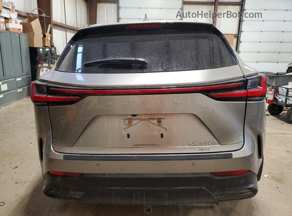 2T2GKCEZ0PC010170 2023 LEXUS NX Серебряный Вид сзади