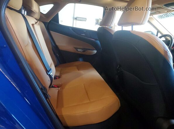 2T2GKCEZ1SC038844 2025 LEXUS NX Blue Вид задньої частини салону