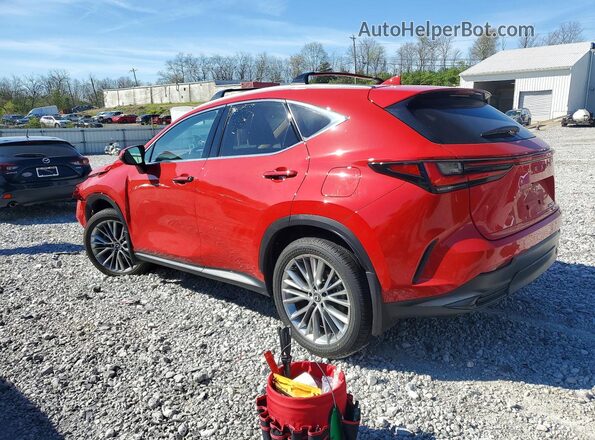 2T2GKCEZ4SC036442 2025 LEXUS NX Red Tył lewy