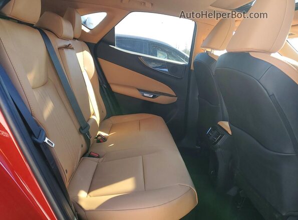 2T2GKCEZ4SC036442 2025 LEXUS NX Red Widok wnętrza z tyłu