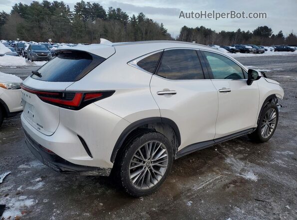 2T2GKCEZ5PC009919 2023 LEXUS NX Белый Задняя правая четверть