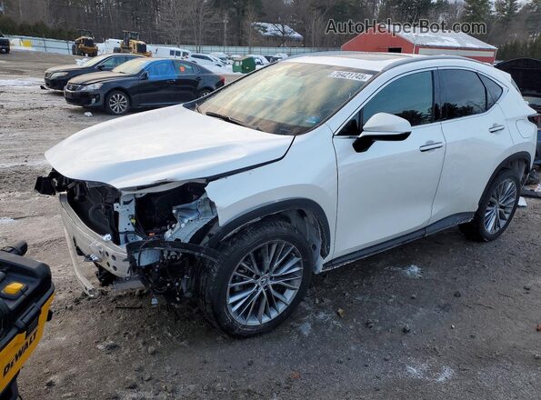 2T2GKCEZ5PC009919 2023 LEXUS NX Белый Передняя левая четверть