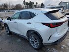 2023 Lexus Nx 350h Белый vin: 2T2GKCEZ5PC009919