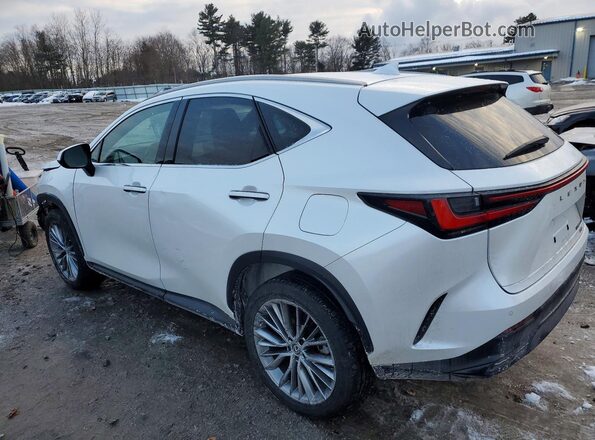 2T2GKCEZ5PC009919 2023 LEXUS NX Белый Задняя левая четверть
