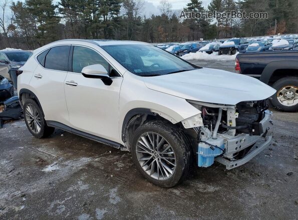 2T2GKCEZ5PC009919 2023 LEXUS NX Белый Передняя правая четверть