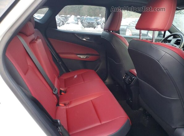 2T2GKCEZ5PC009919 2023 LEXUS NX Белый Вид задней части салона