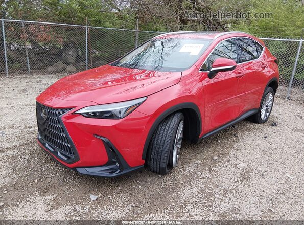 2T2GKCEZ6SC040296 2025 LEXUS NX 350H Red Vista tres cuartos delantera izquierda