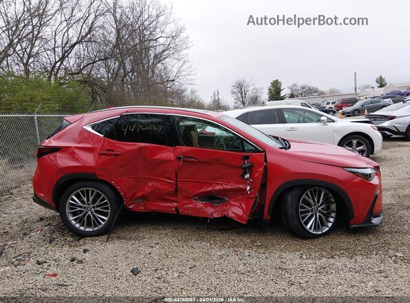 2T2GKCEZ6SC040296 2025 LEXUS NX 350H Red Vista interior trasera