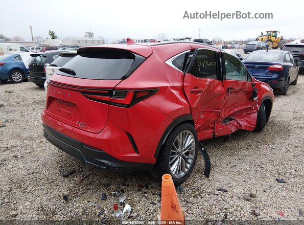 2T2GKCEZ6SC040296 2025 LEXUS NX 350H Red Trasero derecho