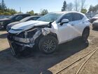 2025 Lexus Nx 350h Base Белый vin: 2T2GKCEZ6SC056627