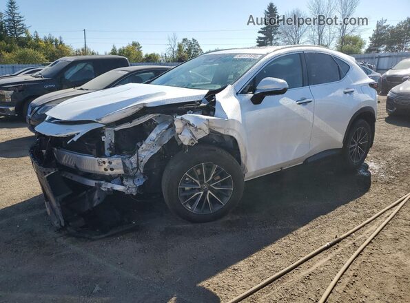 2T2GKCEZ6SC056627 2025 LEXUS NX Белый Передняя левая четверть