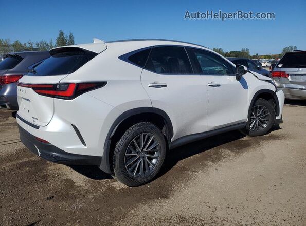 2T2GKCEZ6SC056627 2025 LEXUS NX Белый Задняя правая четверть