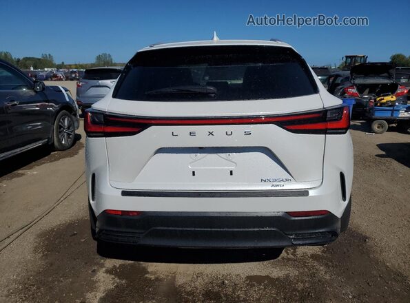 2T2GKCEZ6SC056627 2025 LEXUS NX Белый Вид сзади