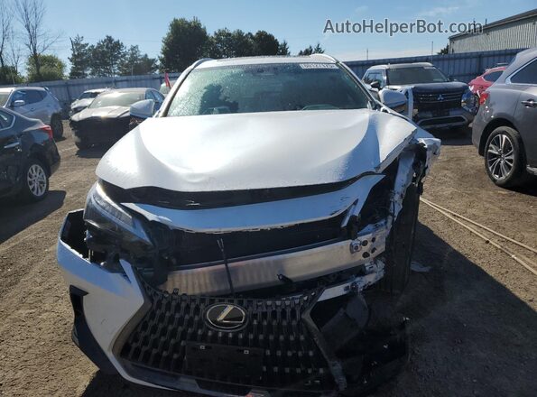 2T2GKCEZ6SC056627 2025 LEXUS NX Белый Вид спереди