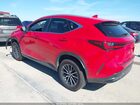 2024 Lexus Nx 350h Premium Red vin: 2T2GKCEZ8RC029648