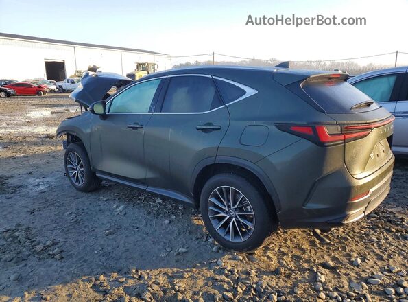 2T2GKCEZ8TC058221 2026 LEXUS NX Зеленый Задняя левая четверть