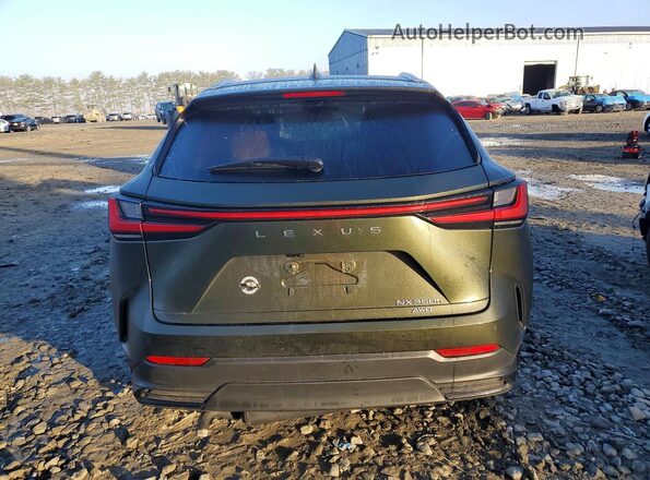 2T2GKCEZ8TC058221 2026 LEXUS NX Зеленый Вид сзади
