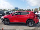 2023 Lexus Nx 350h Premium Red vin: 2T2GKCEZXPC015635