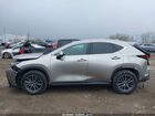 2025 Lexus Nx 350h Premium Tan vin: 2T2GKCEZXSC042939