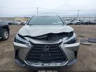 2025 Lexus Nx 350h Premium Tan vin: 2T2GKCEZXSC042939