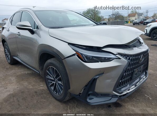 2T2GKCEZXSC042939 2025 LEXUS NX 350H Tan Vista frontal