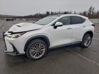 2025 Lexus Nx 350 Luxury White vin: 2T2HGCEZ5SC091990