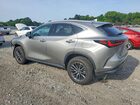 2025 Lexus Nx 350 Luxury Gray vin: 2T2HGCEZ6SC069089 2025 Lexus Nx 350 Luxury Gray vin: 2T2HGCEZ6SC069089