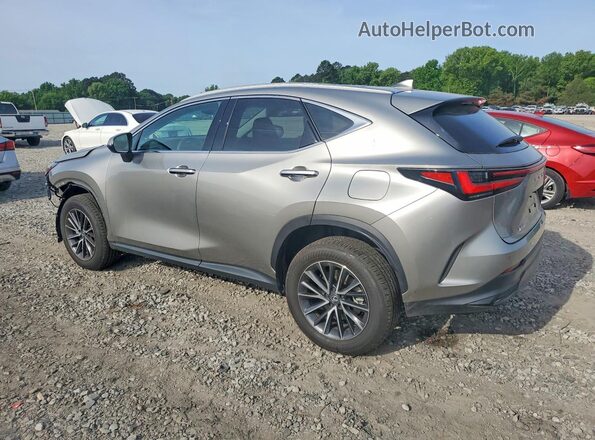 2T2HGCEZ6SC069089 2025 LEXUS NX Gray Trasero izquierdo