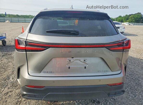 2T2HGCEZ6SC069089 2025 LEXUS NX Gray Vista trasera